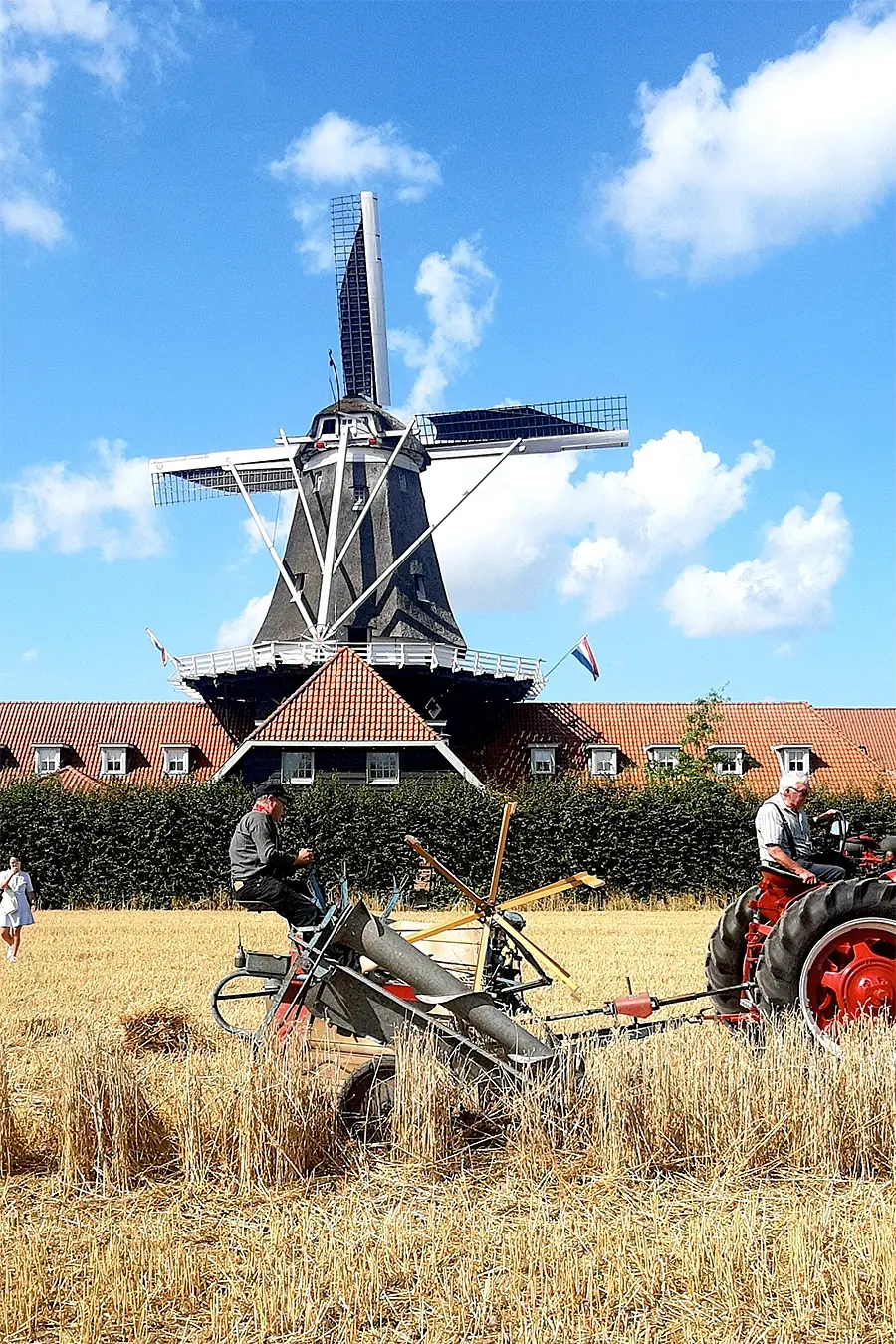 4, Molen 10002 De Zwaluw (Kesteren), Leo van der Vlist (20-8-2022)Oogst eigen tarwe | Database Nederlandse molens