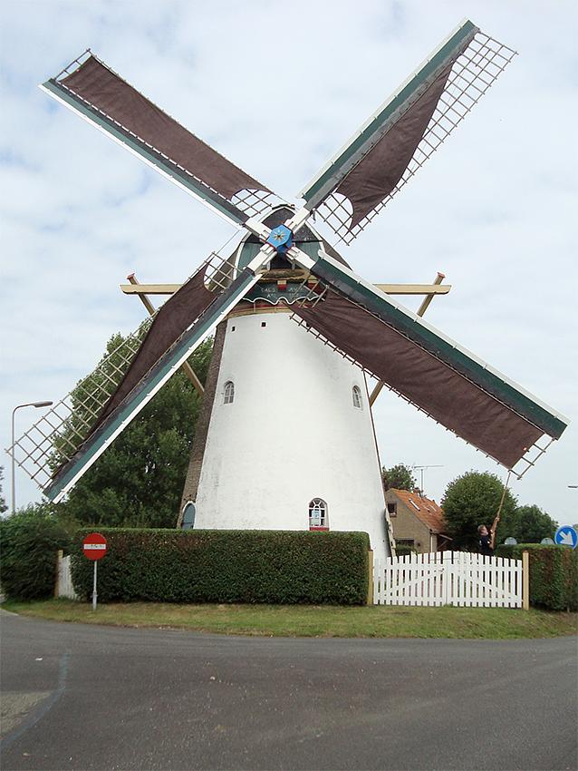 Molen 01906 (Naamloos) (Rockanje), Ad Boutkam (15-7-2018) | Database Nederlandse molens
