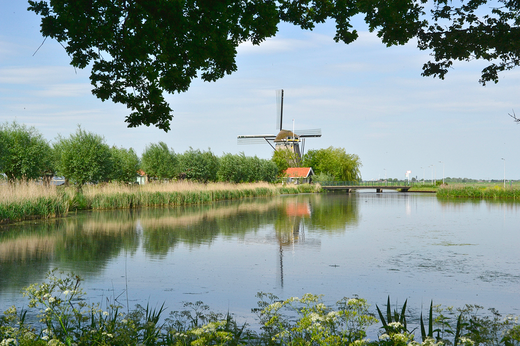 3, Molen 01768 De Valk (Berkel en Rodenrijs), Rob Pols (5-1-2014)De Valk is weliswaar mooi landelijk gelegen en de windvang is uit de meeste richtingen erg goed, toch is waakzaamheid geboden, zoals te zien is op de foto. | Database Nederlandse molens