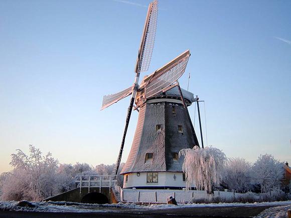 7, Molen 01768 De Valk (Berkel en Rodenrijs), Ginger Heijerman (22-12-2007). | Database Nederlandse molens