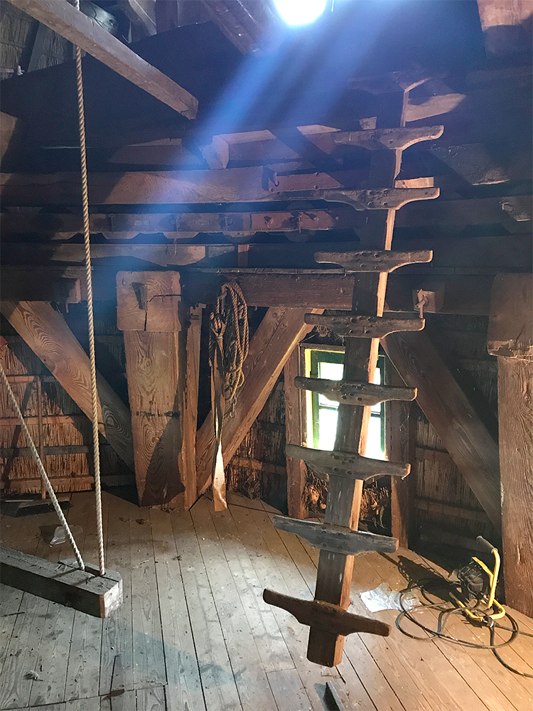 13, Molen 01768 De Valk (Berkel en Rodenrijs), Toby de Kok (10-8-2017)De hanetree. | Database Nederlandse molens