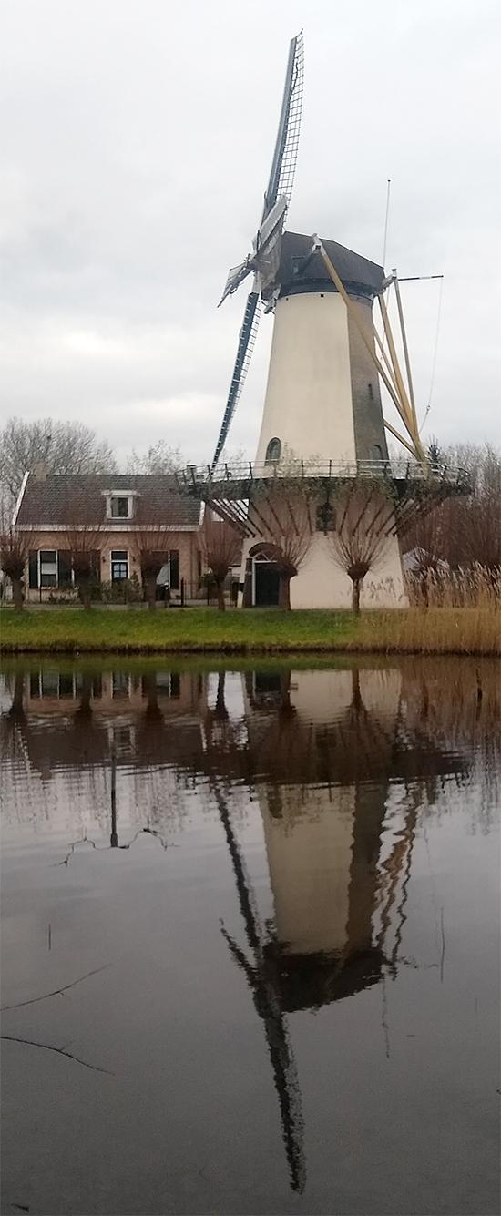 Molen 03611 De Zandweg (Rotterdam), Monique Doolaar (5-1-2020) | Database Nederlandse molens