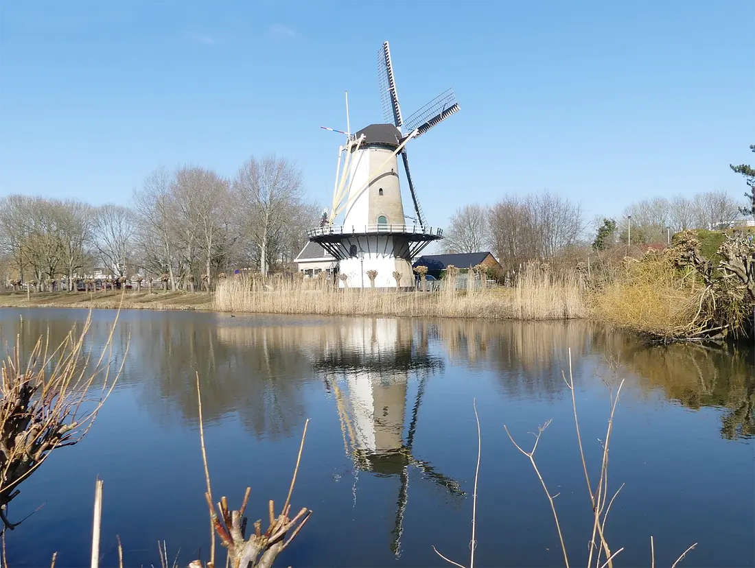 4, Molen 03611 De Zandweg (Rotterdam), Piet Glasbergen (7-3-2022) | Database Nederlandse molens