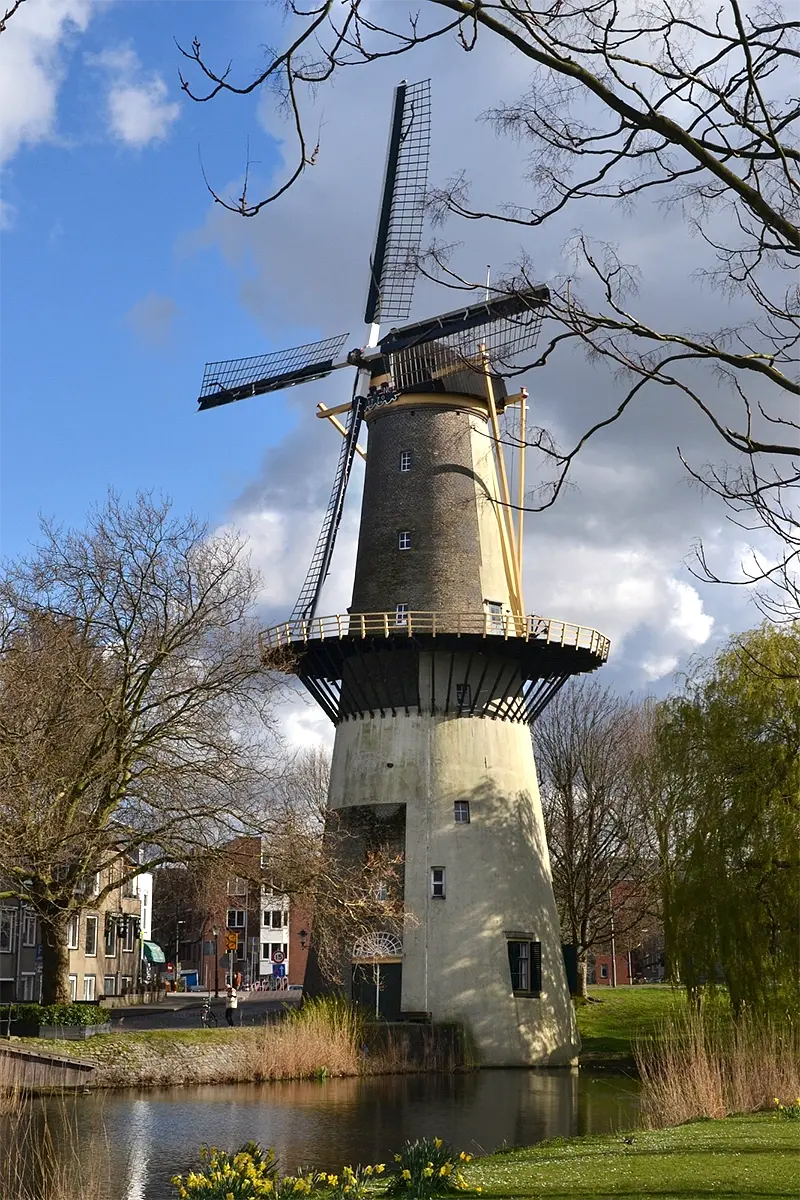 1, Molen 01172 De Drie Koornbloemen (Schiedam), Rob Pols (3-4-2022) | Database Nederlandse molens