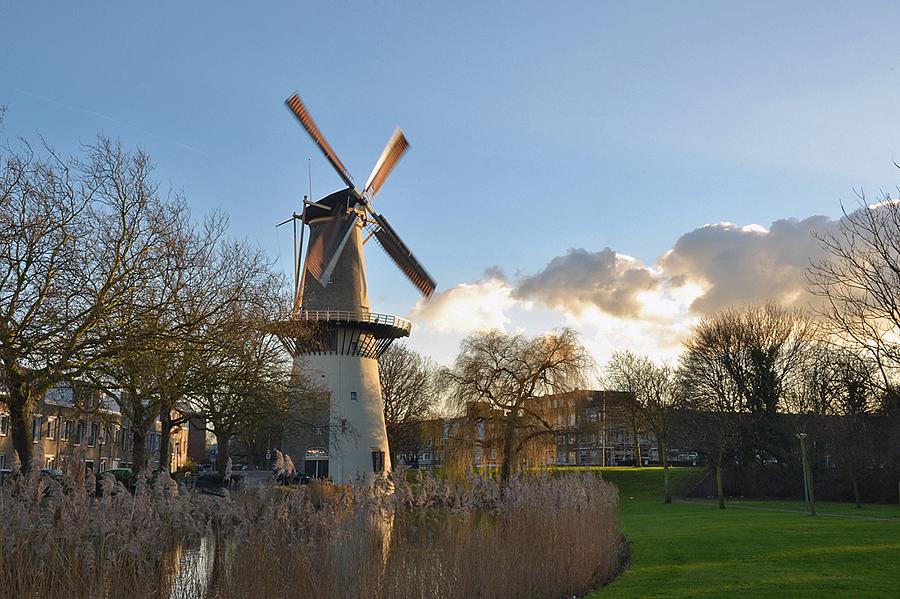 2, Molen 01172 De Drie Koornbloemen (Schiedam), De molen is na de laatste restauratie weer veel draaiend te zien.  Rob Pols (4-1-2015). | Database Nederlandse molens