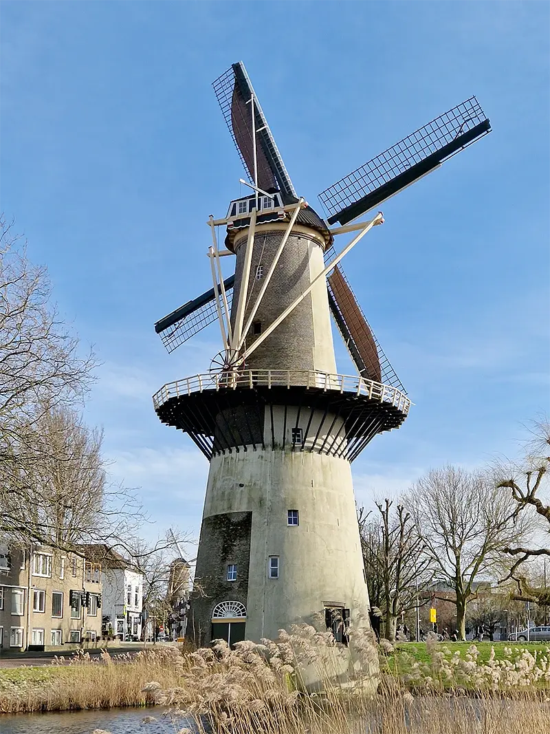 3, Molen 01172 De Drie Koornbloemen (Schiedam), Theo de Rooij (16-3-2023) | Database Nederlandse molens