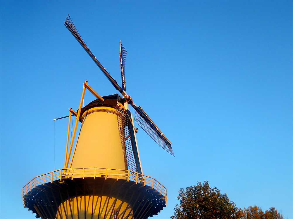 5, Molen 01172 De Drie Koornbloemen (Schiedam), Michael Zoutendijk (11-11-2016). De late herfstzon schijnt op de molen. | Database Nederlandse molens