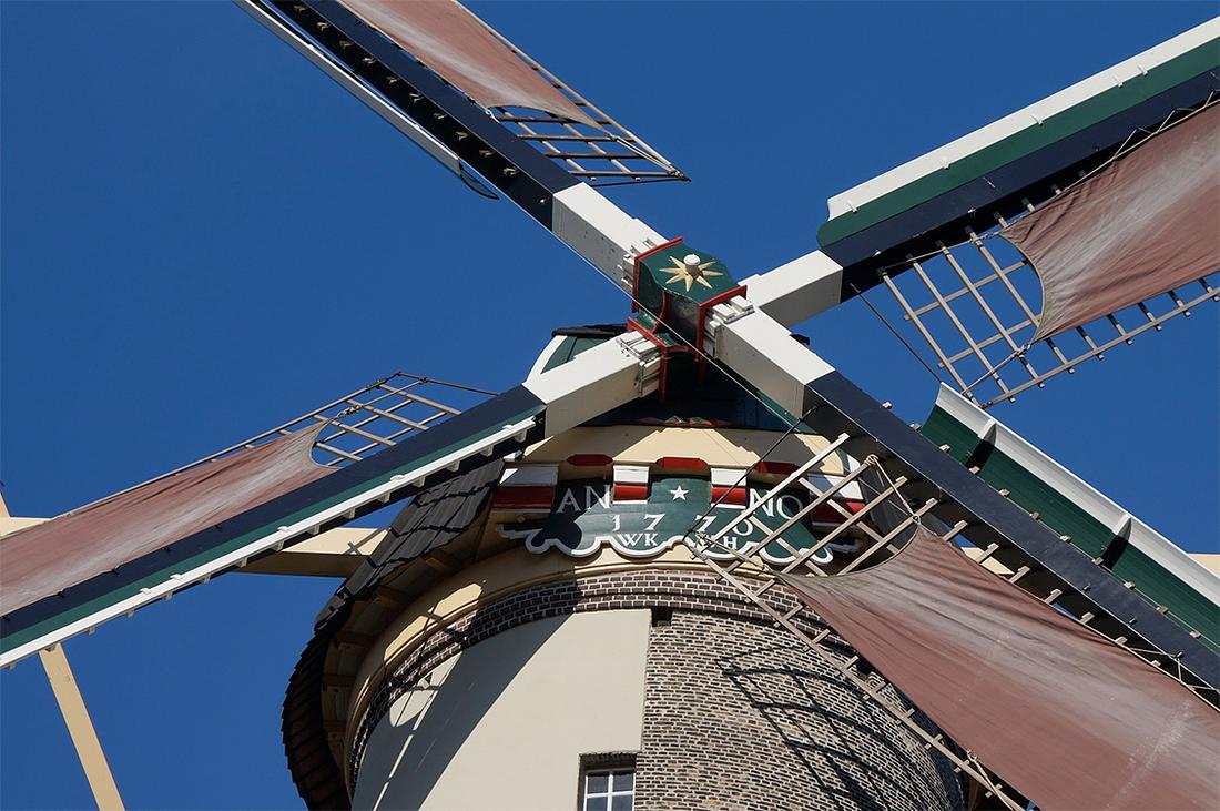 6, Molen 01172 De Drie Koornbloemen (Schiedam), Boukje van Leijen (16-2-2016) | Database Nederlandse molens