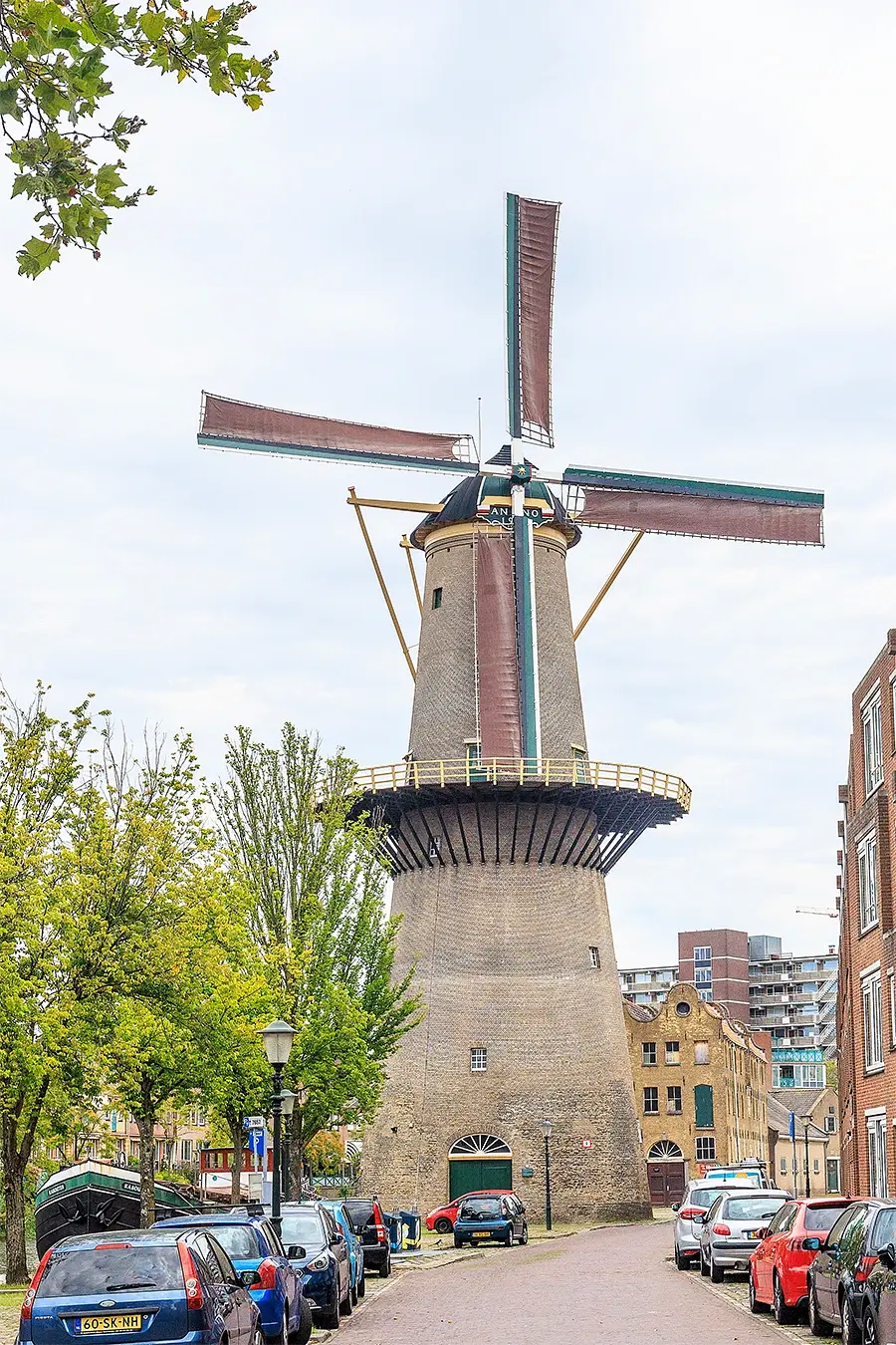 Molen 12213 De Palmboom (Schiedam), Frank Hendriks (22-8-2023) | Database Nederlandse molens