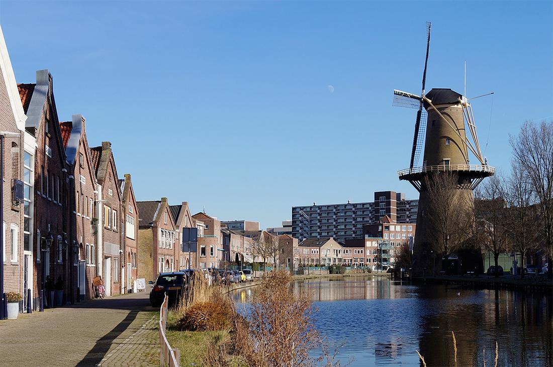 1, Molen 12213 De Palmboom (Schiedam), Boukje van Leijen (16-2-2016) | Database Nederlandse molens