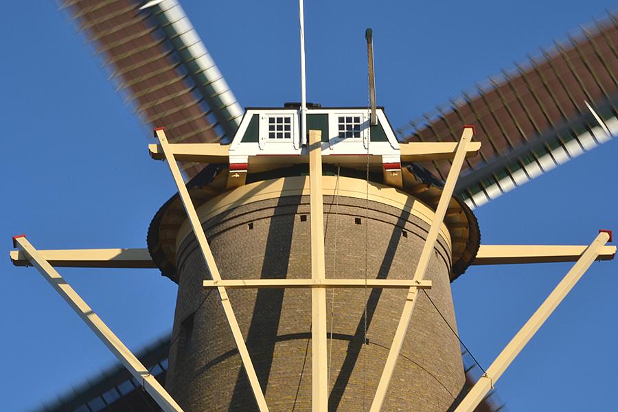8, Molen 12213 De Palmboom (Schiedam), Rob Pols (13-1-2013) | Database Nederlandse molens