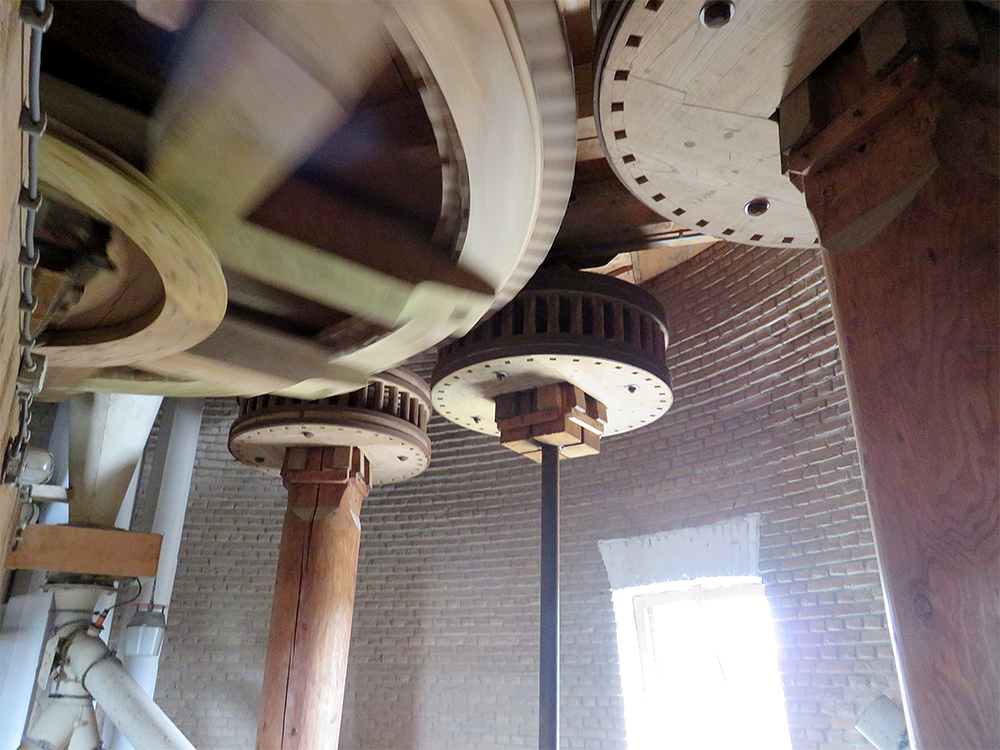 11, Molen 12213 De Palmboom (Schiedam), William Bouter (26-7-2017) | Database Nederlandse molens