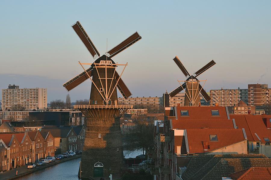 1, Molen 01174 De Noord (Schiedam), Rob Pols (13-1-2013).De Noord en De Nieuwe Palmboom gezien vanaf de stelling van De Vrijheid. | Database Nederlandse molens