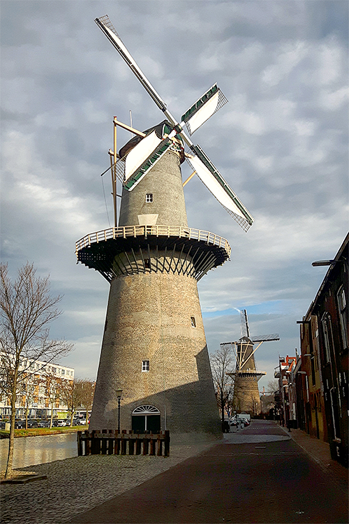 1, Molen 01173 De Vrijheid (Schiedam), Theo de Rooij (8-12-2016)De molen ziet er na de laatste metselwerkrestauratie weer netjes uit. | Database Nederlandse molens