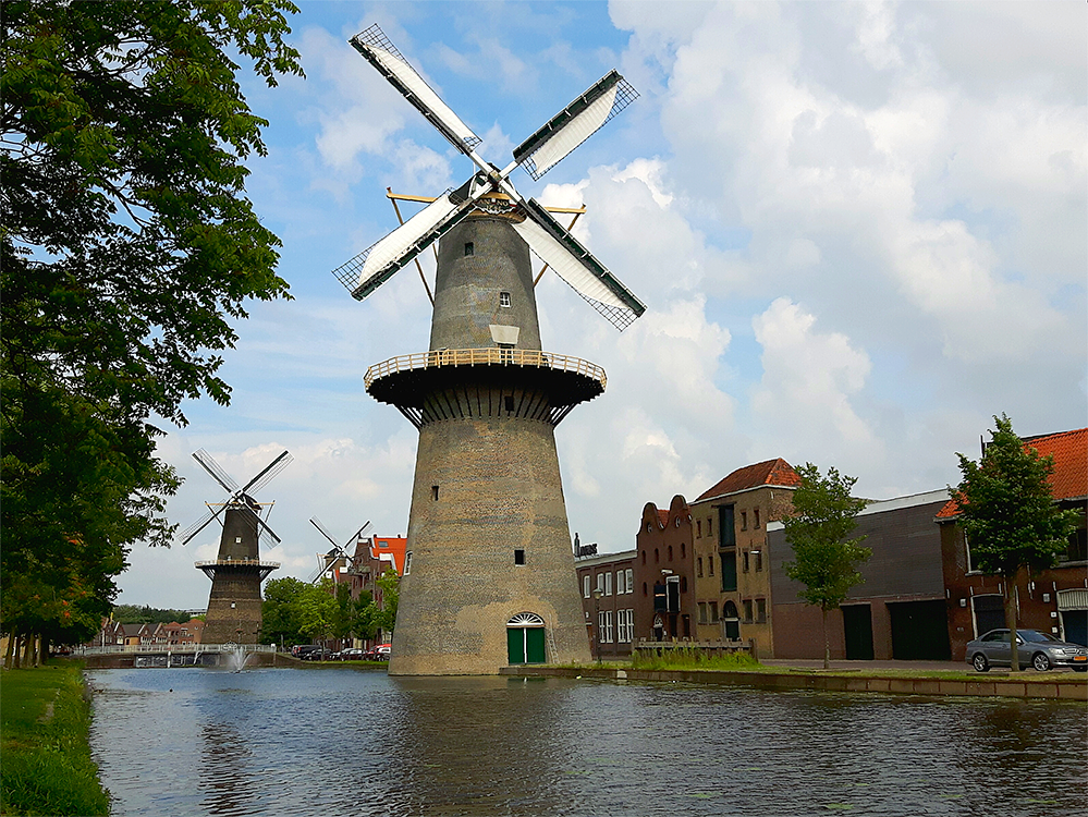 2, Molen 01173 De Vrijheid (Schiedam), Theo de Rooij (28-6-2016)De dag dat de steigerbouwers en metselaars weggingen en de molen klaar was na de metselwerkrestauratie.   | Database Nederlandse molens
