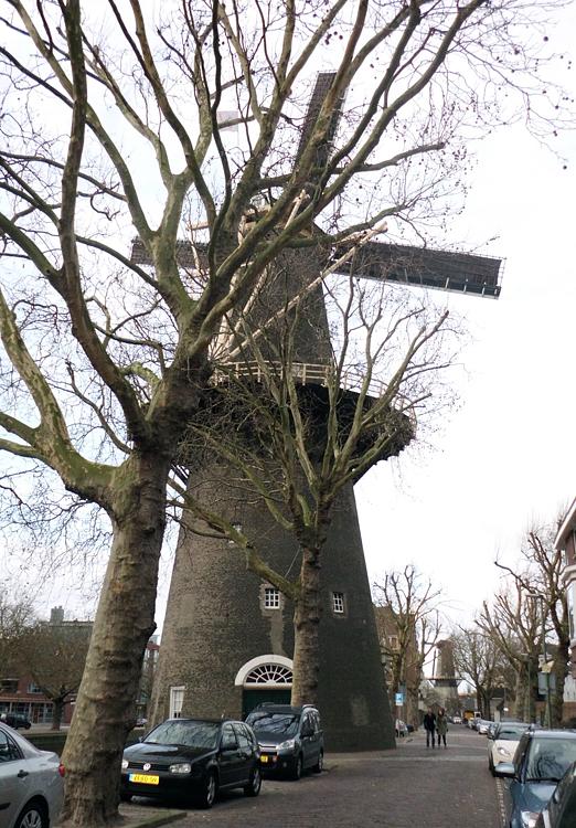 2, Molen 01171 De Walvisch (Schiedam), Julius Meijer (14-1-2012). | Database Nederlandse molens