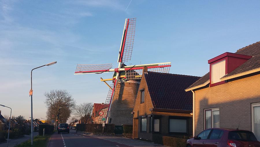 1, Molen 01889 De Korenaar (Stad aan 't Haringvliet), De biotoop van een grondzeiler tussen de huizen is niet erg ideaal te noemen.  Thomas Grooteboer (5-4-2015). | Database Nederlandse molens