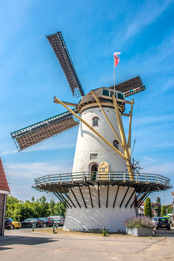 2, Molen 01901 Korenlust (Stellendam), Bram Westerink (3-6-2017) | Database Nederlandse molens
