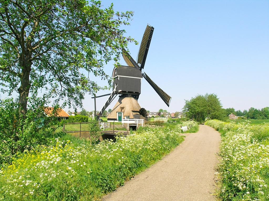3, Molen 01493 Kleine (Tiendweg) Molen (Streefkerk), Willem Jans (10-5-2008) | Database Nederlandse molens