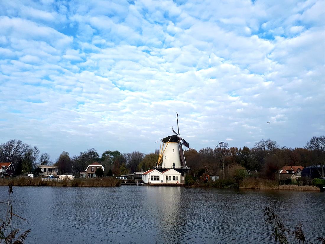 5, Molen 01922 De Vier Winden (Rotterdam), E.A.A. Wiggers-Van Driel Kluit (28-11-2020)Malend op een oostenwind met de nieuwe kleurstelling van het wiekenkruis. | Database Nederlandse molens