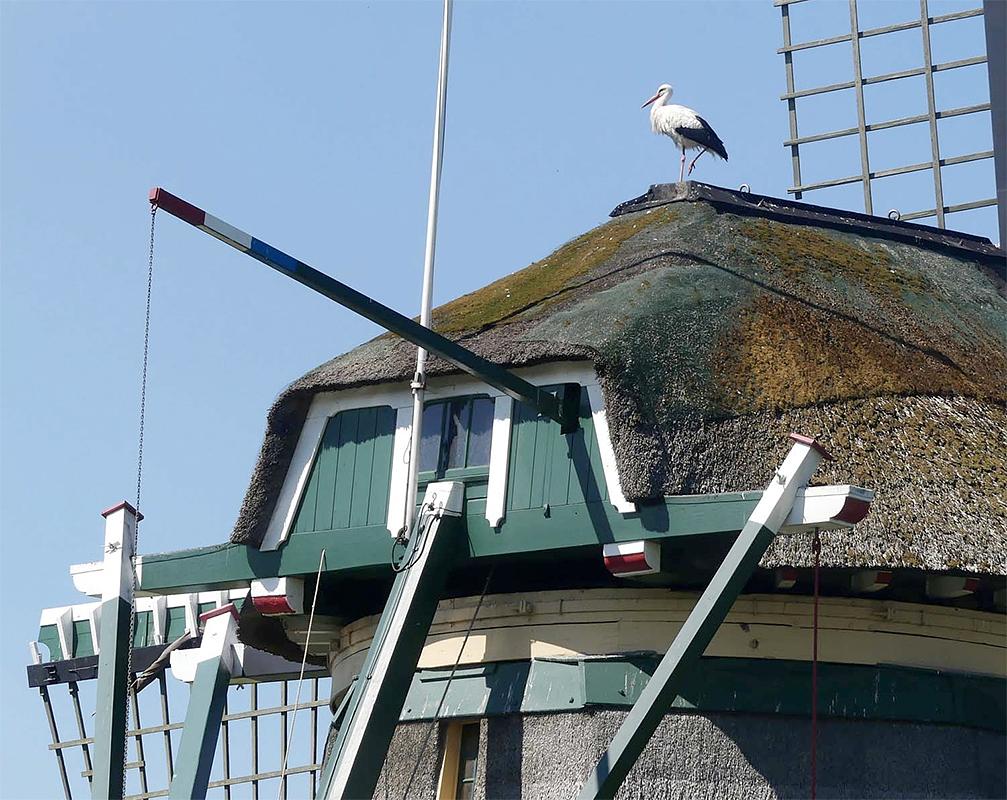 7, Molen 10691 De Vlieger (Voorburg), Piet Glasbergen (13-7-2020) | Database Nederlandse molens