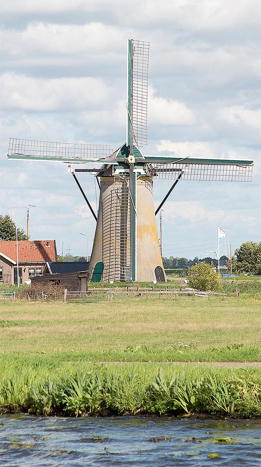 Molen 01788 Boterhuismolen (Warmond), Frank Hendriks (7-9-2018) | Database Nederlandse molens