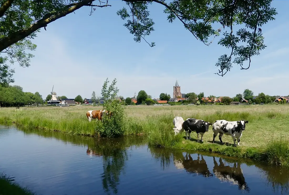 6, Molen 10149 De Hoop (Bunschoten), Piet Glasbergen (14-6-2021) | Database Nederlandse molens