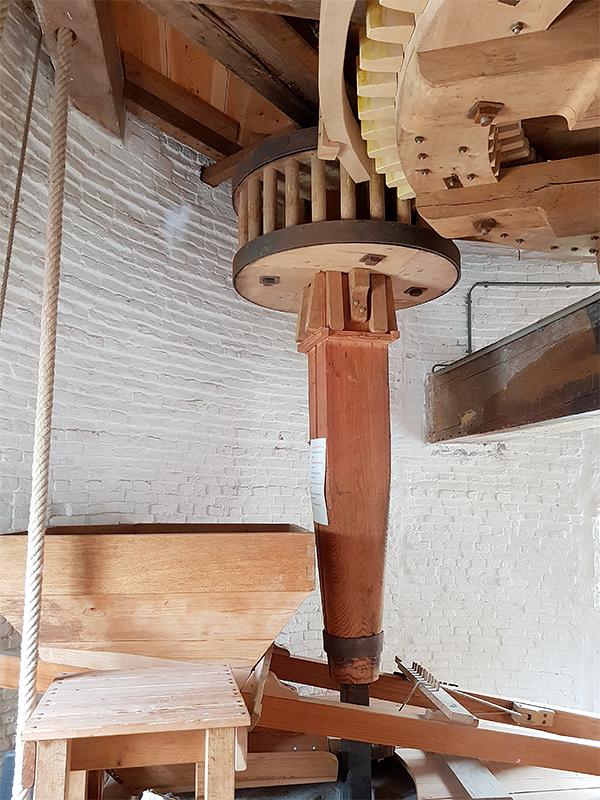 14, Molen 03528 De Verwachting (Tholen), Pieter Zuijkerbuijk (7-6-2019) | Database Nederlandse molens