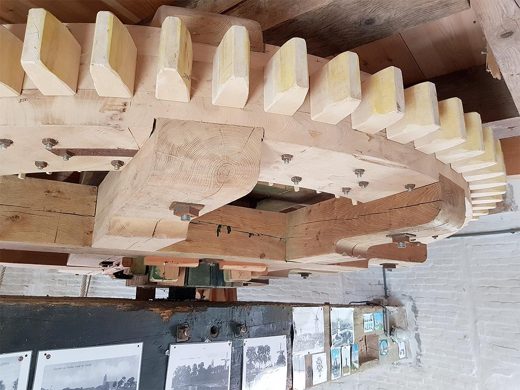 15, Molen 03528 De Verwachting (Tholen), Pieter Zuijkerbuijk (7-6-2019) | Database Nederlandse molens