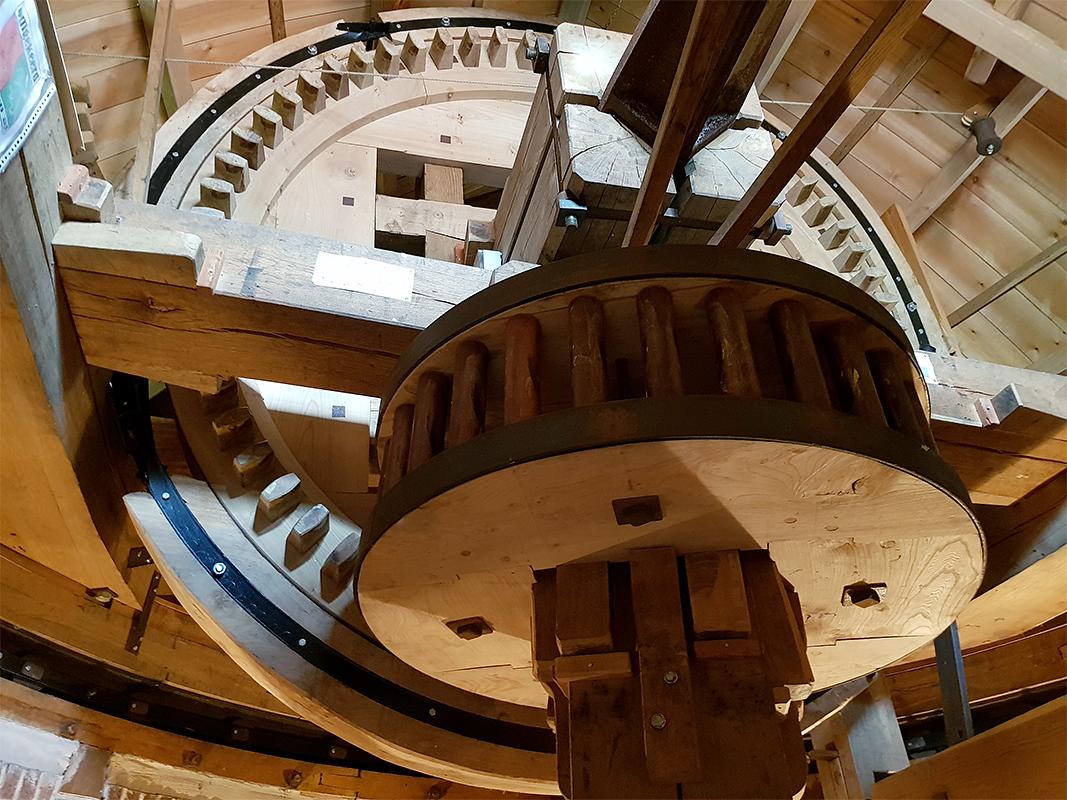 18, Molen 03528 De Verwachting (Tholen), Pieter Zuijkerbuijk (7-6-2019) | Database Nederlandse molens
