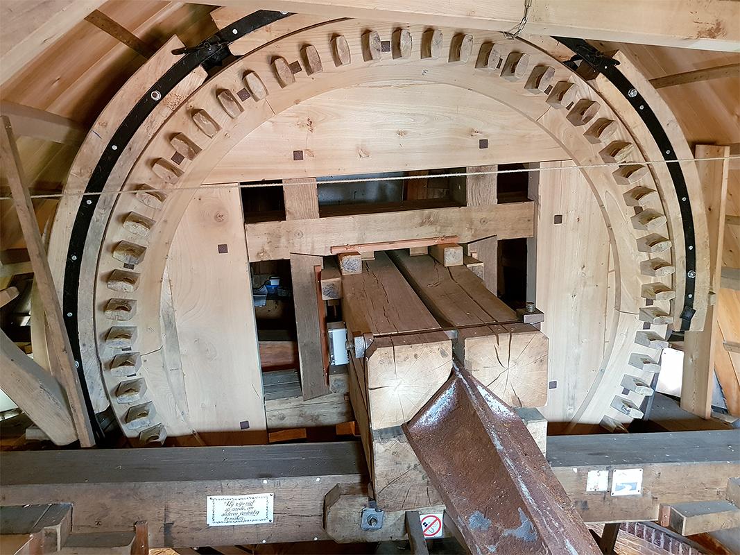 20, Molen 03528 De Verwachting (Tholen), Pieter Zuijkerbuijk (7-6-2019) | Database Nederlandse molens