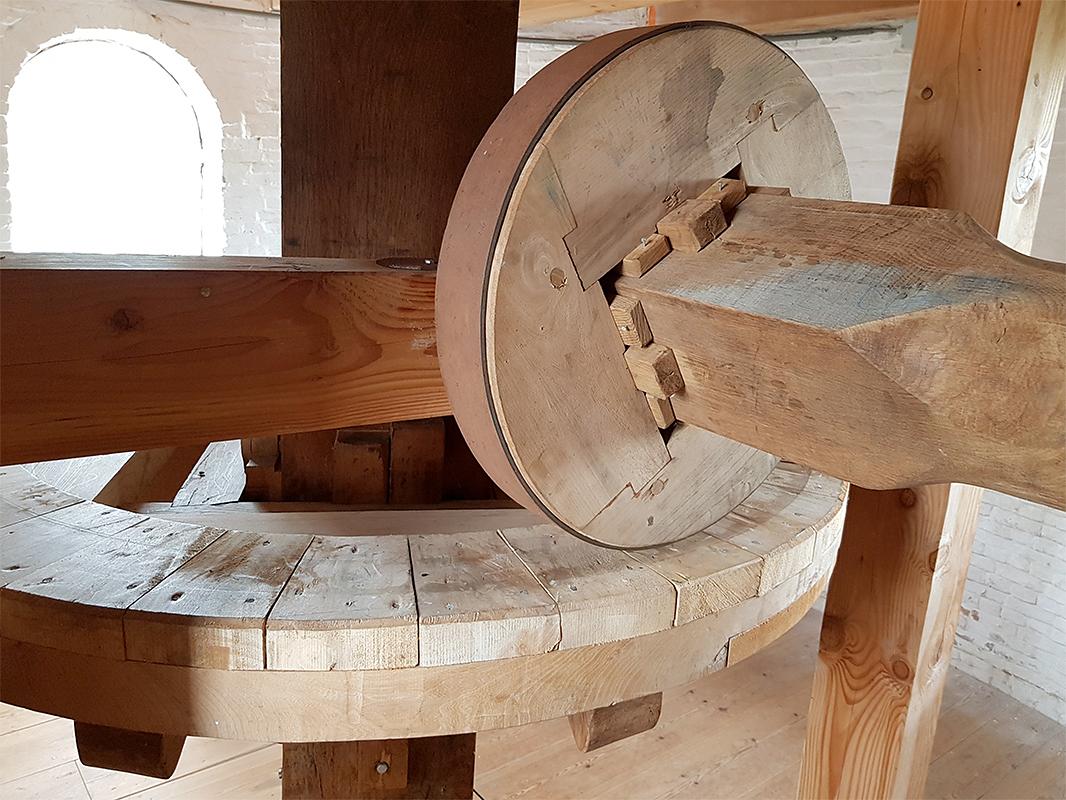 16, Molen 03528 De Verwachting (Tholen), Pieter Zuijkerbuijk (7-6-2019) | Database Nederlandse molens