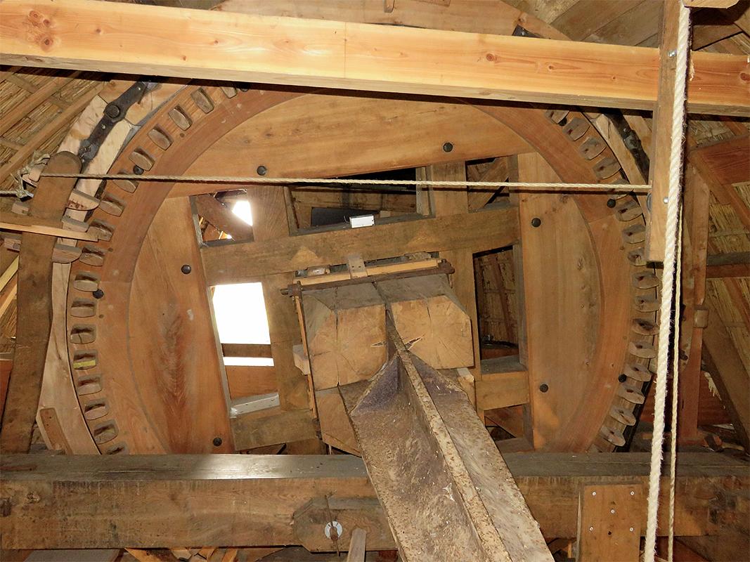 20, Molen 03610 (Naamloos) (Goidschalxoord), William Bouter (20-10-2018) | Database Nederlandse molens