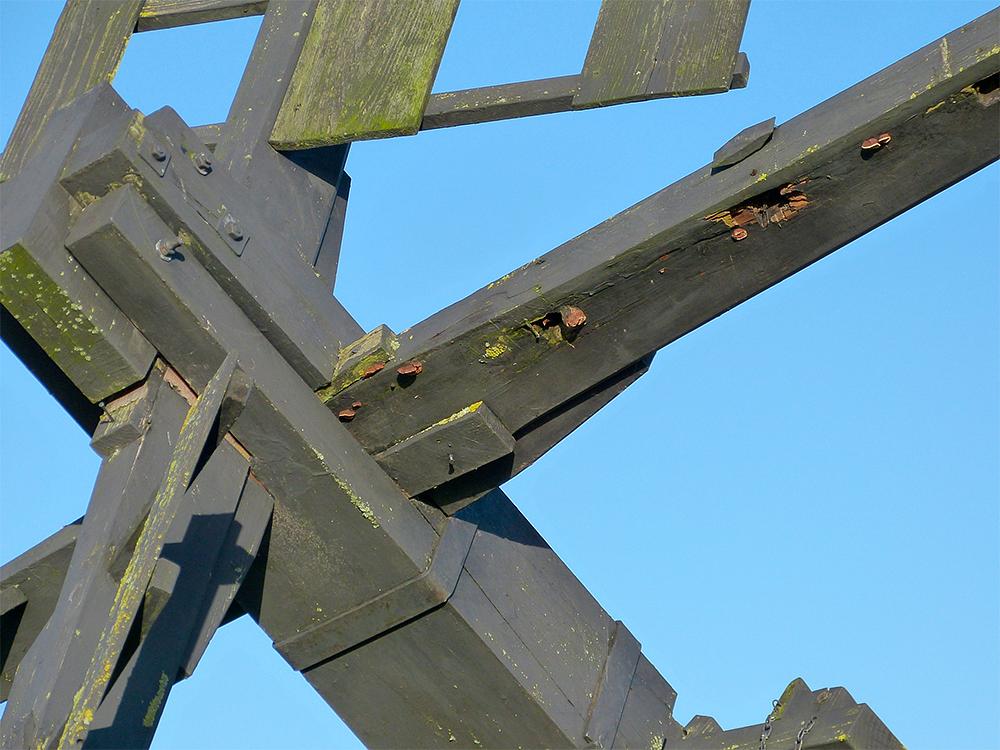 3, Molen 12160 (tjasker) (Giethoorn), Willem Jans (9-12-2015)De huidige situatie met zwammen in en op de roede | Database Nederlandse molens