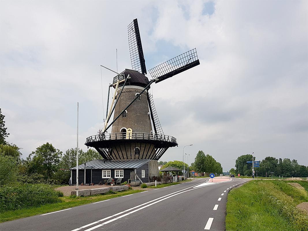 3, Molen 03539 De Korenbloem (Kortgene), Pieter Zuijkerbuijk (25-5-2019) | Database Nederlandse molens