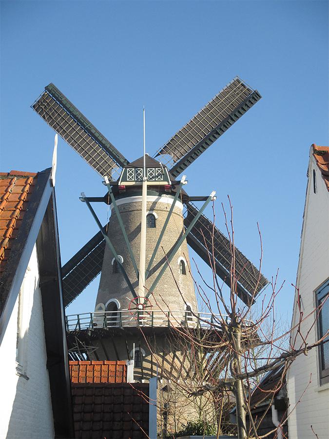 2, Molen 03539 De Korenbloem (Kortgene), Patrick Desmedt (21-1-2017) | Database Nederlandse molens