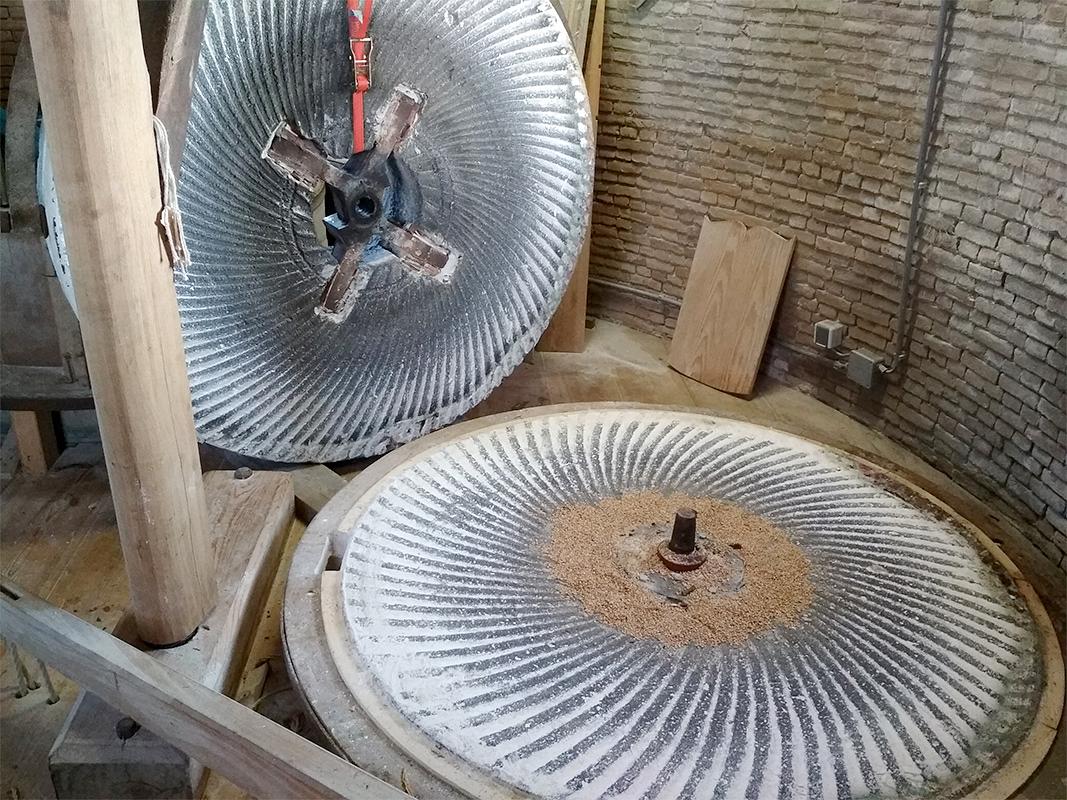 11, Molen 03539 De Korenbloem (Kortgene), Patrick Desmedt (22-2-2018) | Database Nederlandse molens
