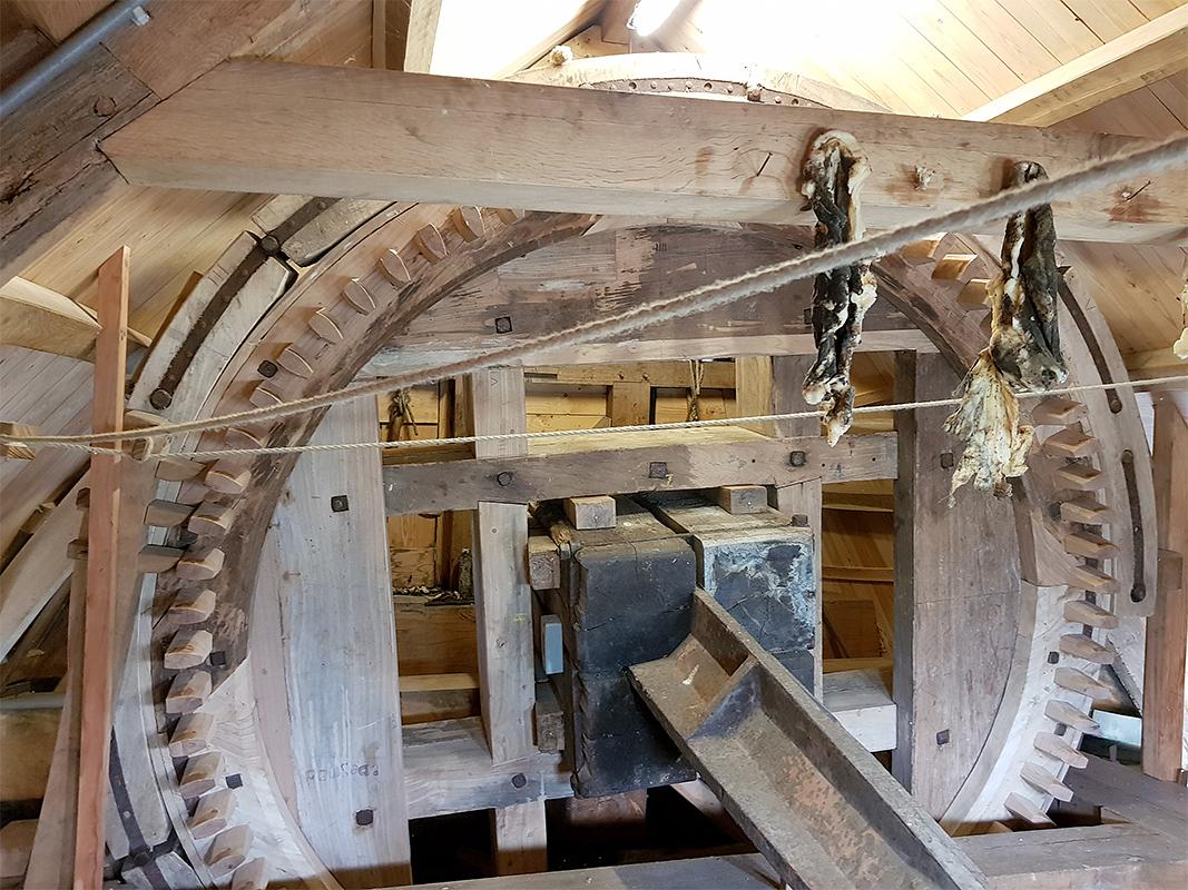 24, Molen 03539 De Korenbloem (Kortgene), Pieter Zuijkerbuijk (25-5-2019) | Database Nederlandse molens