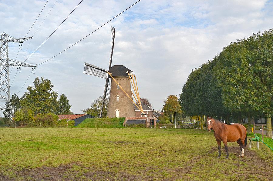3, Molen 01555 St. Antonius (Eerde), Rob Pols (23-10-2014) | Database Nederlandse molens
