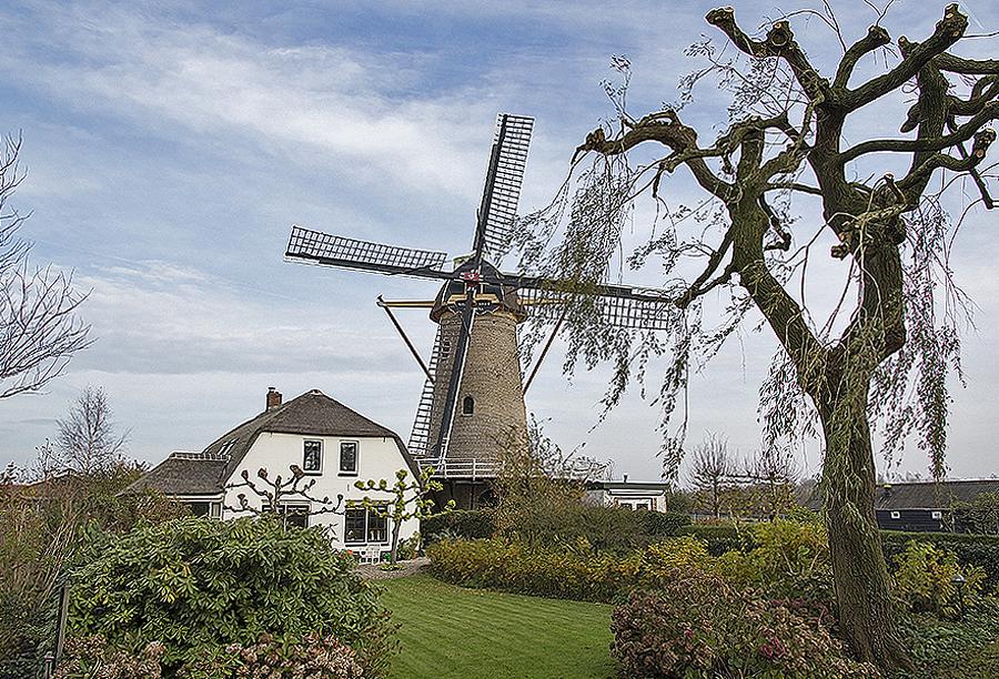 1, Molen 01148 Geesina (Groenekan), Frank Hendriks (14-11-2014).De molen met tuin en molenaarswoning.  | Database Nederlandse molens