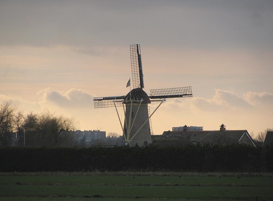4, Molen 01148 Geesina (Groenekan), Piet Glasbergen (17-2-2013) | Database Nederlandse molens