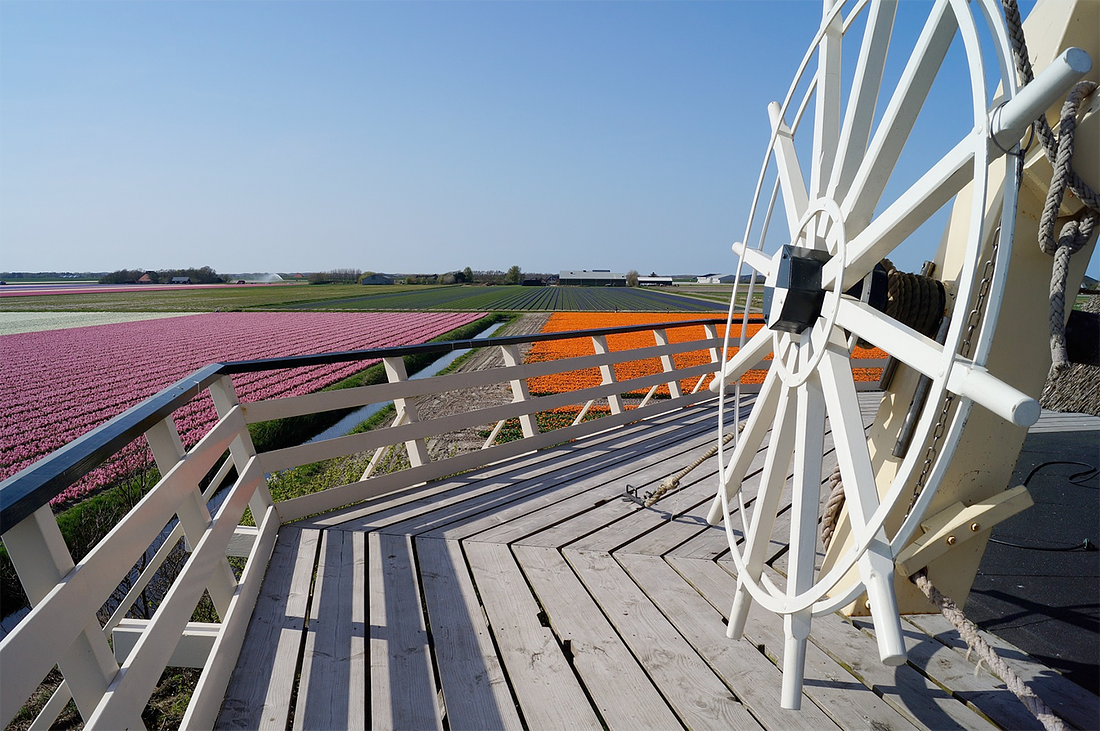 6, Molen 12221 De Hoop ('t Zand), Boukje van Leijen (22-4-2018) | Database Nederlandse molens