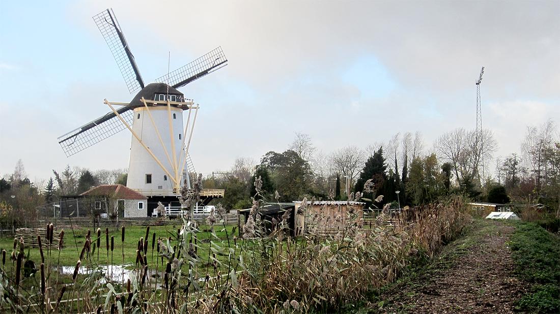 1, Molen 01174 f Babbersmolen (Schiedam), E. J. Druijff (18-11-2015) | Database Nederlandse molens