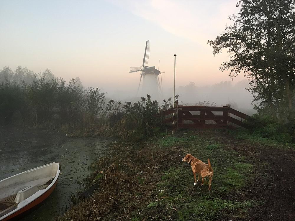 3, Molen 01174 f Babbersmolen (Schiedam), E. J. Druijff (2-11-2015) | Database Nederlandse molens