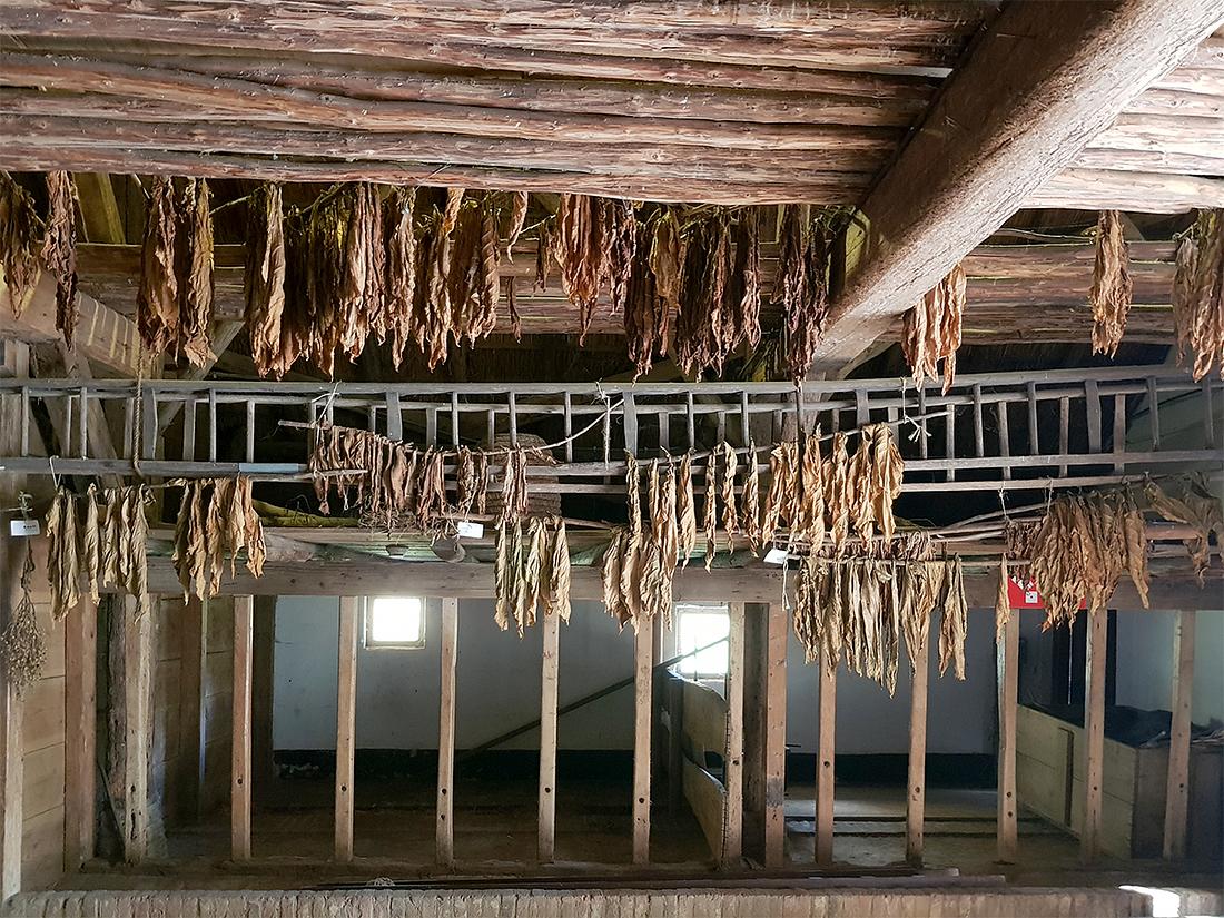 3, Molen 15471 Hondenmolen uit Varik (Arnhem), Pieter Zuijkerbuijk (18-10-2018) | Database Nederlandse molens
