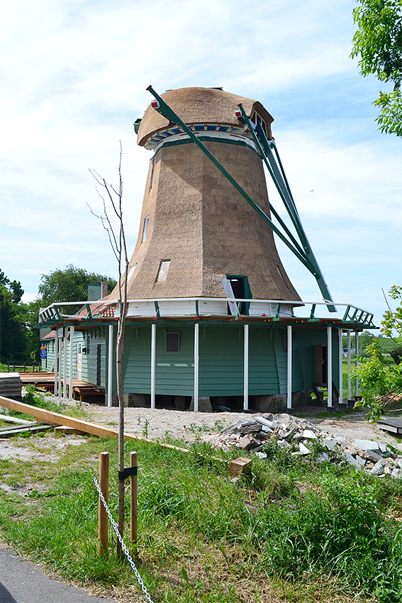 18, Molen 13088 De Paauw (Nauerna), Frans Limbeek (23-5-2017)Staartbalk en schoren zijn inmiddels geplaatst. | Database Nederlandse molens