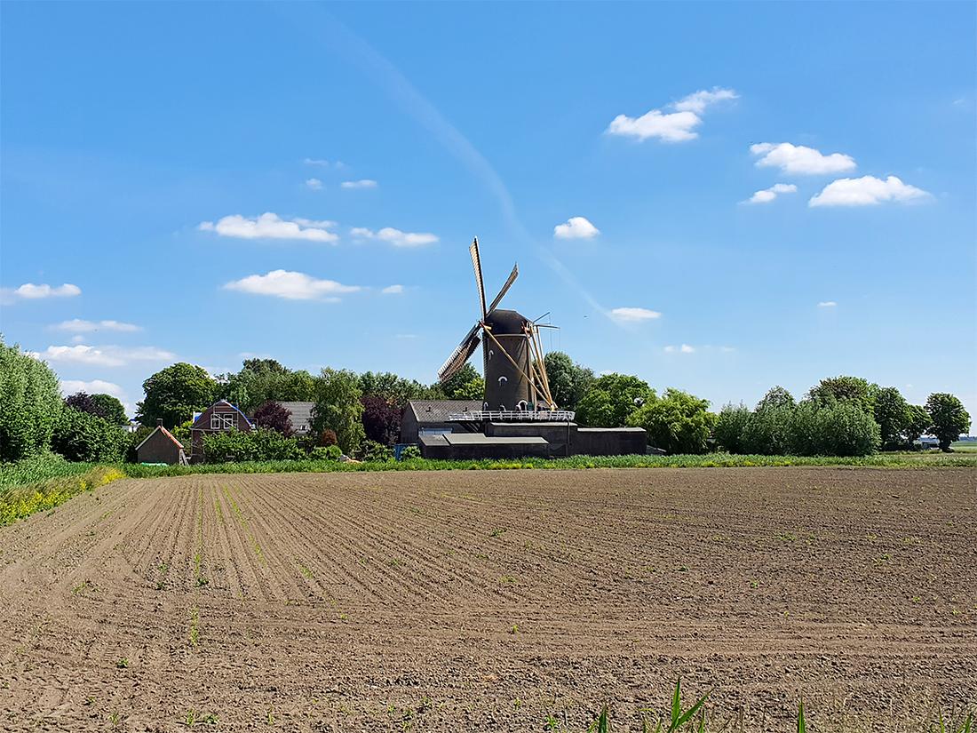 6, Molen 01865 De Oude Molen (Fijnaart), Pieter Zuijkerbuijk (27-5-2020) | Database Nederlandse molens