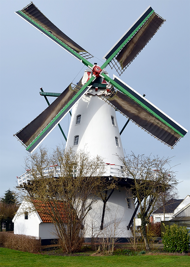 Molen 00536 De Widde Meuln (Ten Boer), Rob Hoving (4-3-2017) | Database Nederlandse molens