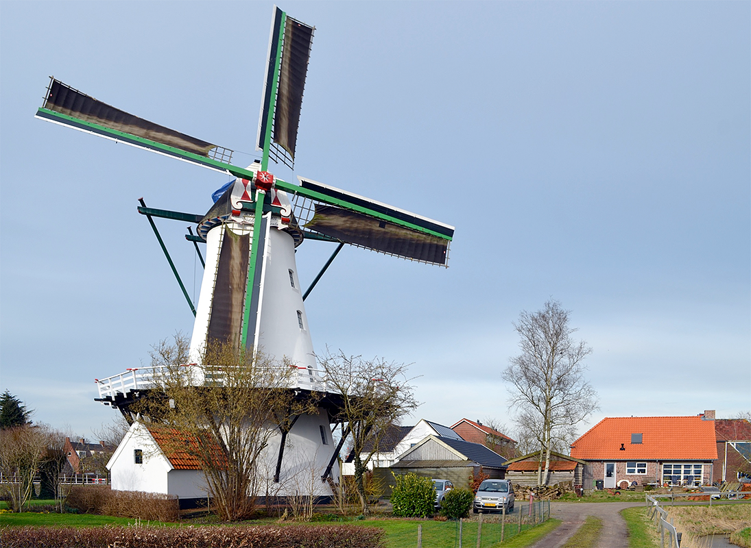 1, Molen 00536 De Widde Meuln (Ten Boer), Rob Hoving (4-3-2017) | Database Nederlandse molens