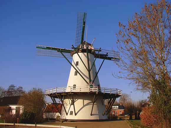 2, Molen 00536 De Widde Meuln (Ten Boer), A. Innaro (10-1-2009) | Database Nederlandse molens